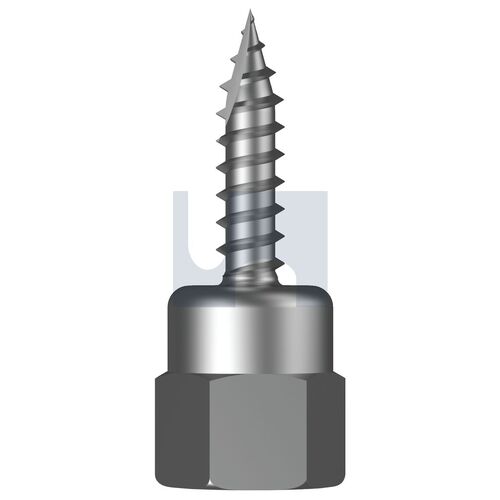 Z/P VERTI T17 INT: M10 X  25