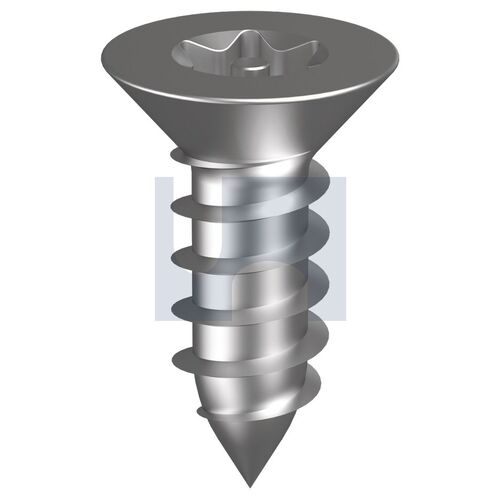 304 P/TORX T10 CSTS:#6 X   1