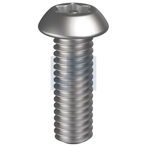 304 P/TORX T30 BHMS: M6 X  45