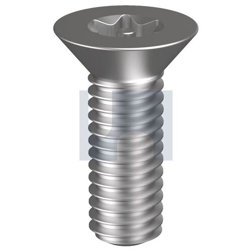 304 P/TORX T30 CHMS: M6 X  40