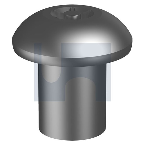 304 P/TORX T45 BL NUT: 3/8UNC