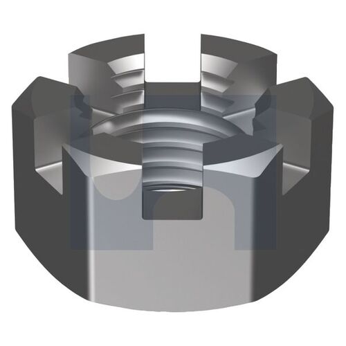 Z/P GR2 SLOTTED HEX: 2 UNF