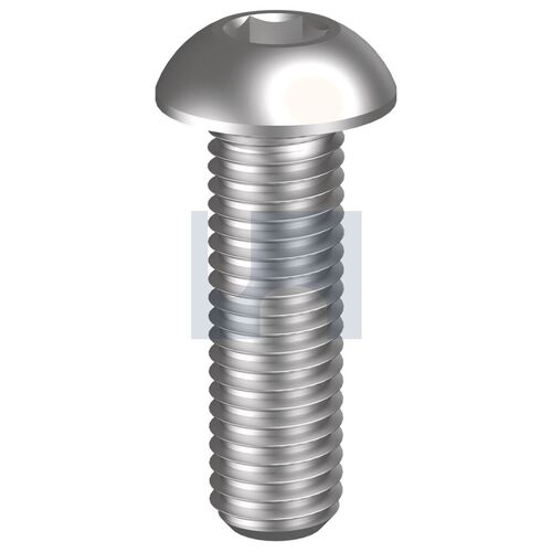 304 ISO7380 BHSS: M12 X  25