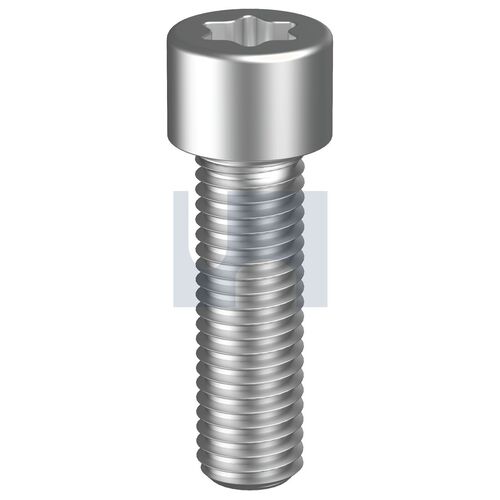 304 ISO14579 STCS T10:M3 X 10