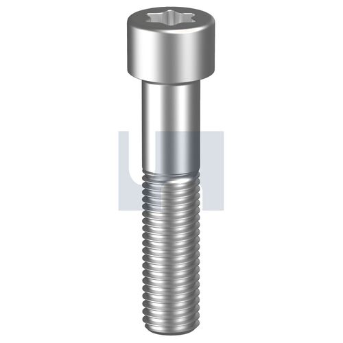 304 ISO14579 STCS T20:M4 X 40
