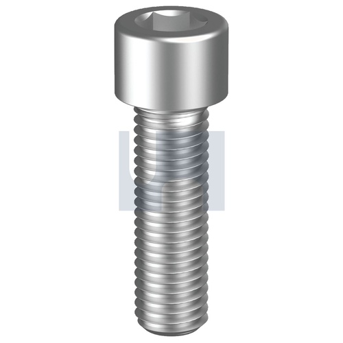 NEPTUNE DIN912 SHCS: M6  X  10