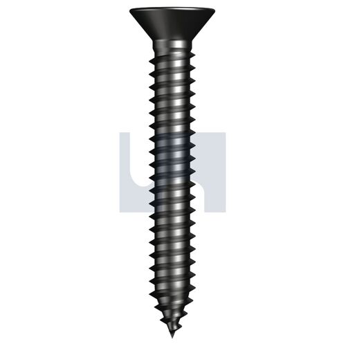 ZBP STS CSK PH: #12 X  2