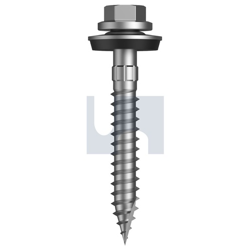 CL4 T17 CYC MUL:16-10X 55