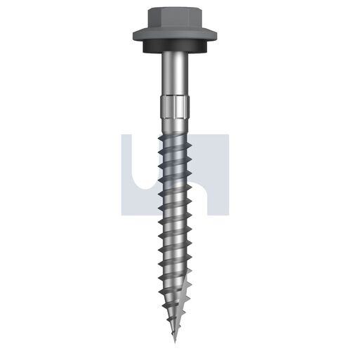 CL4 BG T17 SEAL HX S:12-11X 50