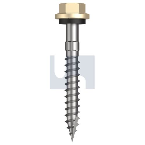 CL4 CC T17 SEAL HX S:14-10X 50