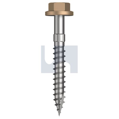 CL4 PT T17 FLG HX S:14-10X 50